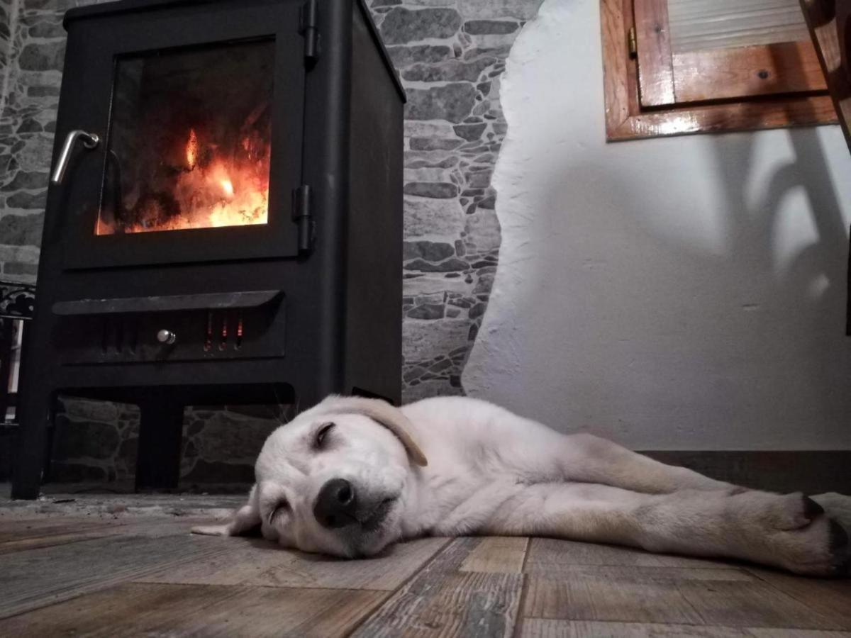 Hauzify I Ca La Nena Morena Villalba Saserra Exteriör bild